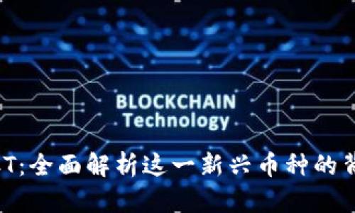 虚拟币XCT：全面解析这一新兴币种的背景与潜力