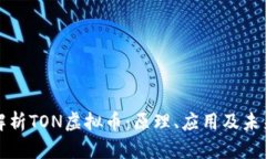 全面解析TON虚拟币：原理