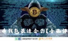 哪种虚拟币钱包最适合你