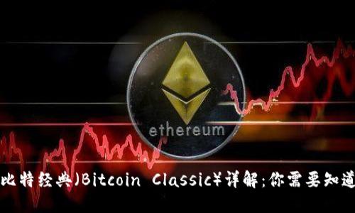 虚拟币比特经典（Bitcoin Classic）详解：你需要知道的一切