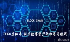 TECO虚拟币：新兴数字资产