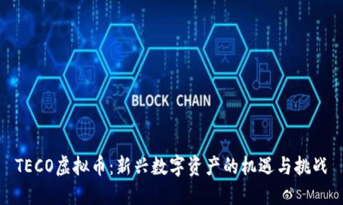 TECO虚拟币：新兴数字资产的机遇与挑战