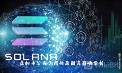虚拟币公司倒闭的原因与