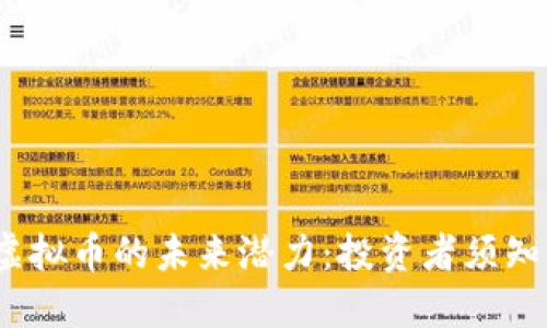 MECT虚拟币的未来潜力：投资者须知的一切