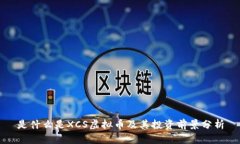 是什么是XCS虚拟币及其投