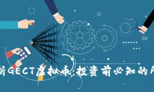 深入解析GECT虚拟币：投资前必知的所有信息
