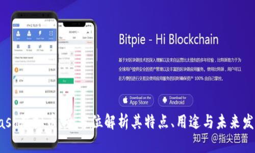 Dash虚拟币：全方位解析其特点、用途与未来发展
