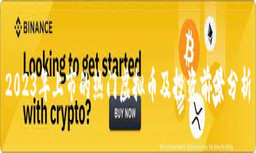 2023年上市的热门虚拟币及投资前景分析