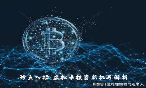 鲸鱼入场：虚拟币投资新机遇解析