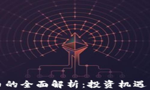 
世通虚拟币的全面解析：投资机遇与风险评估
