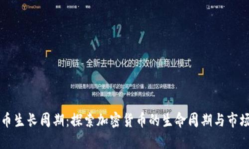 虚拟币生长周期：探索加密货币的生命周期与市场动态