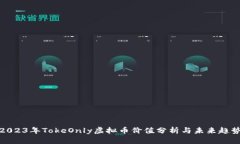2023年TokeOnly虚拟币价值分