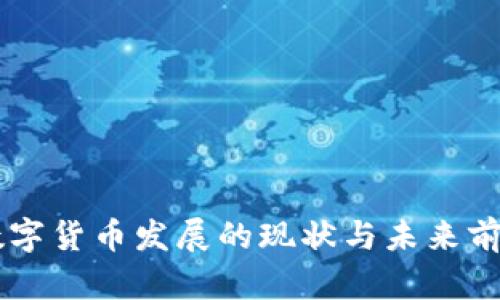 印度数字货币发展的现状与未来前景分析