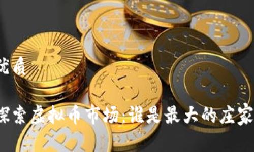 优质

探索虚拟币市场：谁是最大的庄家？