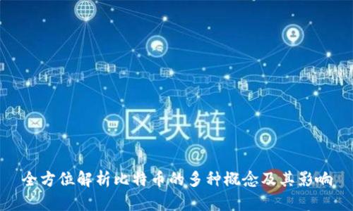 全方位解析比特币的多种概念及其影响