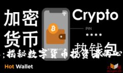 虚拟币人：揭秘数字货币