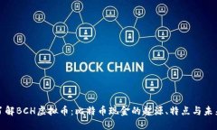 深入了解BCH虚拟币：比特