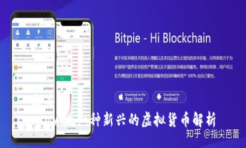 题目：
vpay币：一种新兴的虚拟货币解析