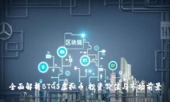 全面解析BTGS虚拟币：投资