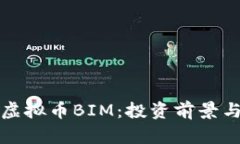 全面解析虚拟币BIM：投资