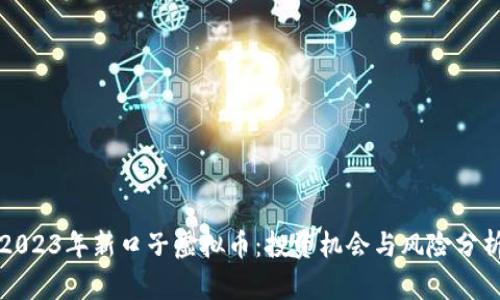 2023年新口子虚拟币：投资机会与风险分析