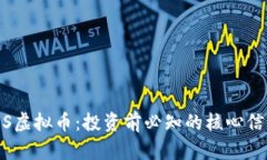 深入解析NPXS虚拟币：投资