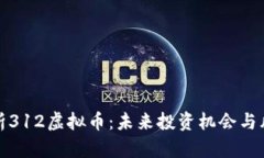 全面解析312虚拟币：未来