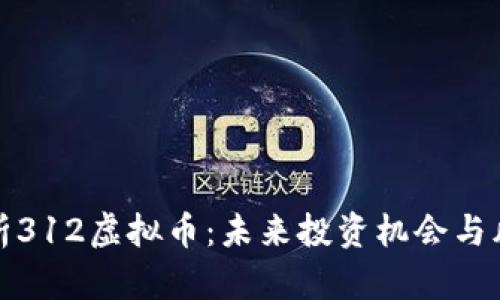 全面解析312虚拟币：未来投资机会与风险评估