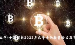 虚拟币火牛：全面解析2