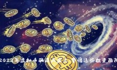 2022年虚拟币骗局大盘点：