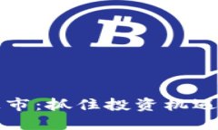 新虚拟币上市：抓住投资