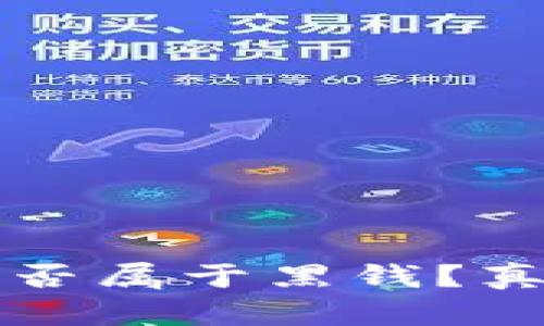 虚拟币是否属于黑钱？真相大揭秘
