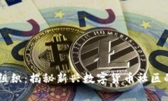 日照虚拟币组织：揭秘新