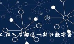 虚拟币云储币SC：深入了解