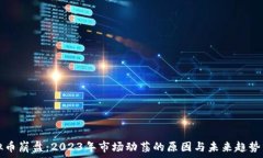   虚拟币崩盘：2023年市场