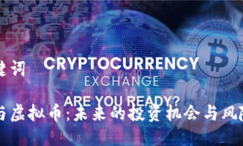 与关键词

丁磊与虚拟币：未来的投资机会与风险分析