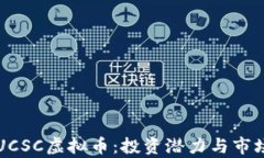 深入理解UCSC虚拟币：投资