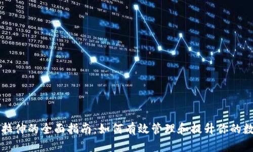 虚拟币拉伸的全面指南：如何有效管理和提升你的数字资产