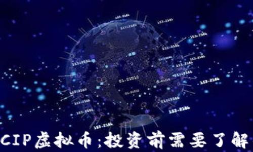 
深入解析ACIP虚拟币：投资前需要了解的关键要素