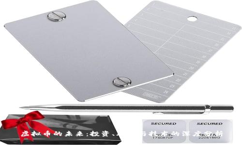 虚拟币的未来：投资、风险与技术的深度分析
