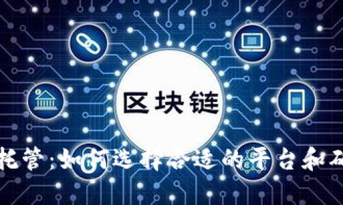 虚拟币节点托管：如何选择合适的平台和确保投资安全