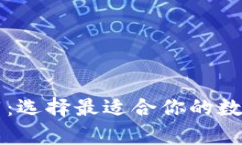 虚拟币钱包推荐：选择最适合你的数字货币存储方式