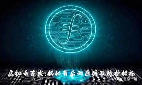 虚拟币蒸发：揭秘背后的原因及防护措施