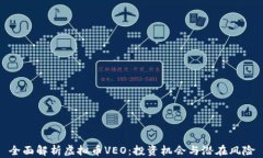全面解析虚拟币VEO：投资