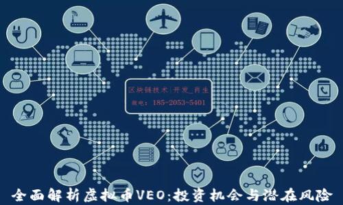 
全面解析虚拟币VEO：投资机会与潜在风险