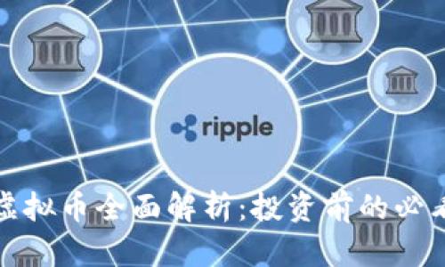 WSG虚拟币全面解析：投资前的必看指南