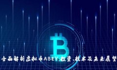 全面解析虚拟币ABEY：投资