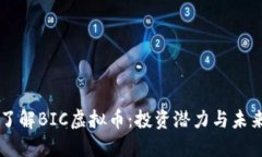 深入了解BIC虚拟币：投资