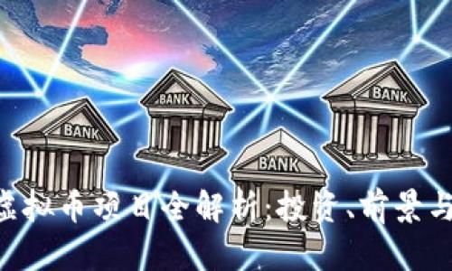 BSG虚拟币项目全解析：投资、前景与风险