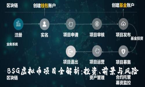 BSG虚拟币项目全解析：投资、前景与风险